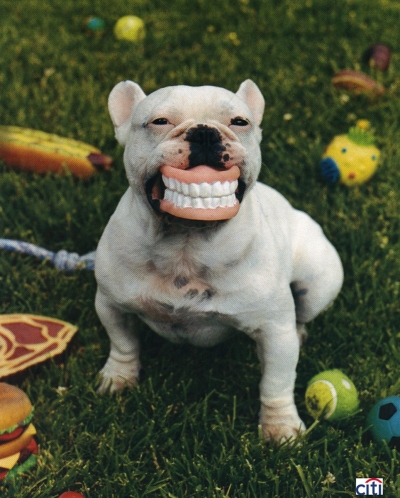 Chris-Gaskill-Chris-Buck-CitiBank-Dog